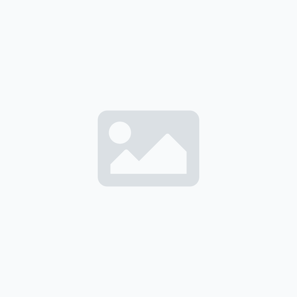 Blog 1 ms